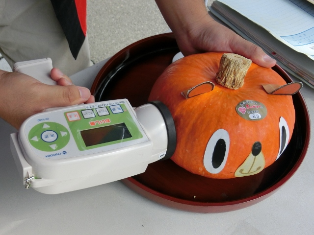 赤かぼちゃ　糖度計